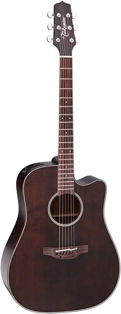 TAKAMINE P1DCSM / Acoustic Guitar