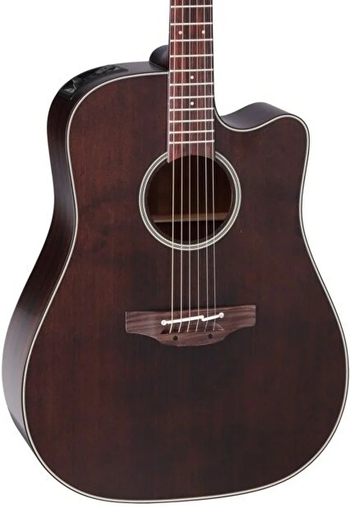TAKAMINE P1DCSM /  Acoustic Guitar