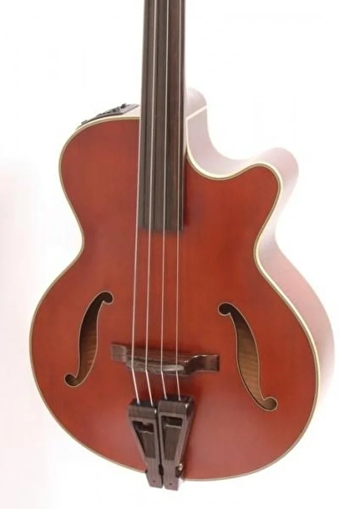 Takamine TB10 Bas Gitar