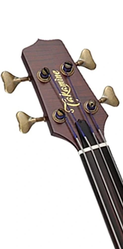 Takamine TB10 Bas Gitar