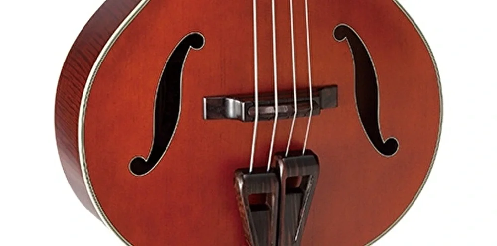 Takamine TB10 Bas Gitar